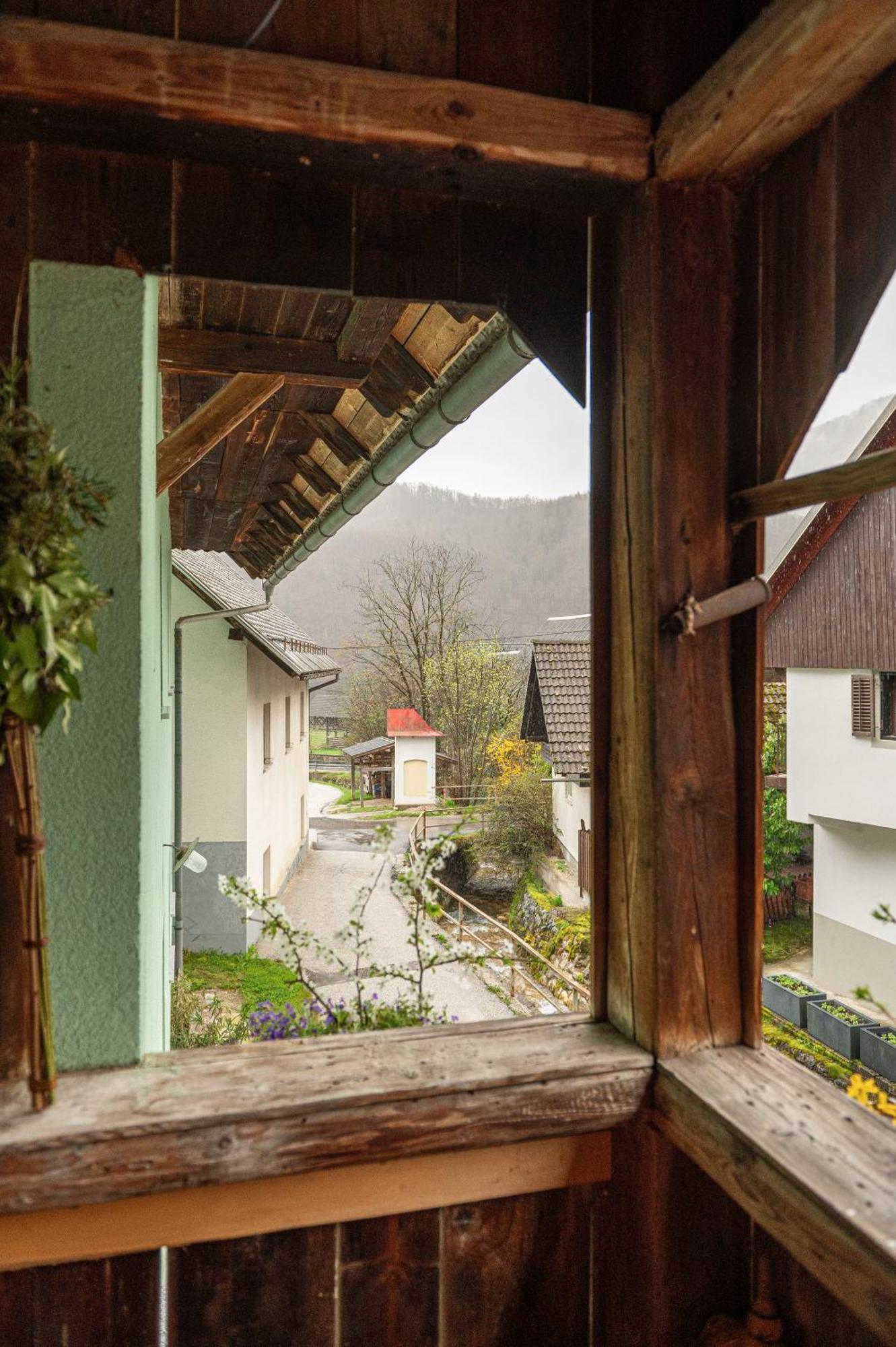 Zelena Hisa Pri Bjov Apartment Bohinjska Bela Exterior photo
