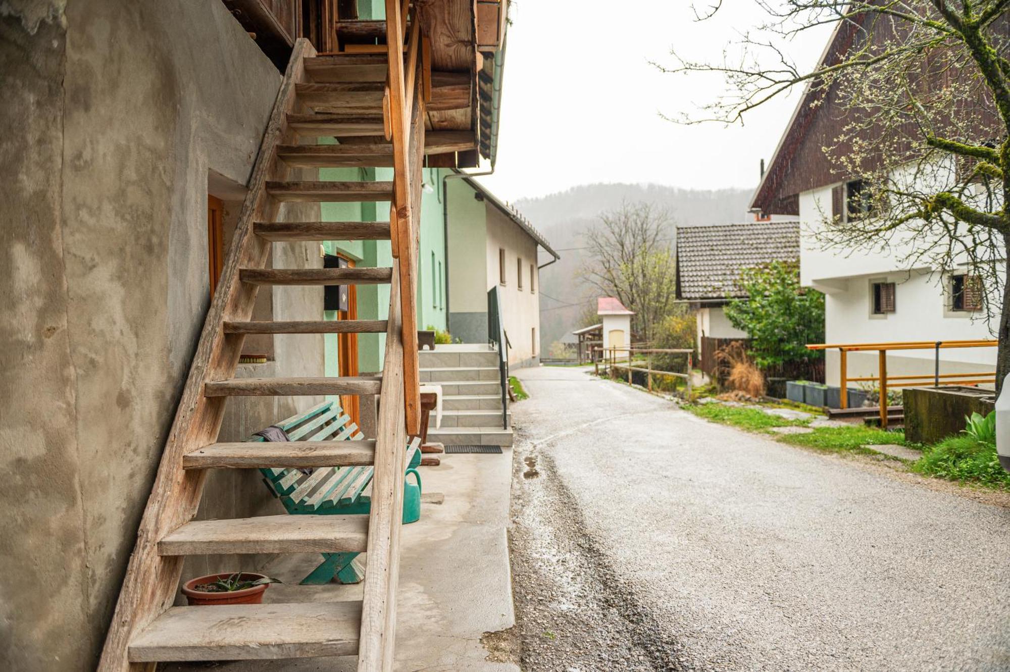 Zelena Hisa Pri Bjov Apartment Bohinjska Bela Exterior photo
