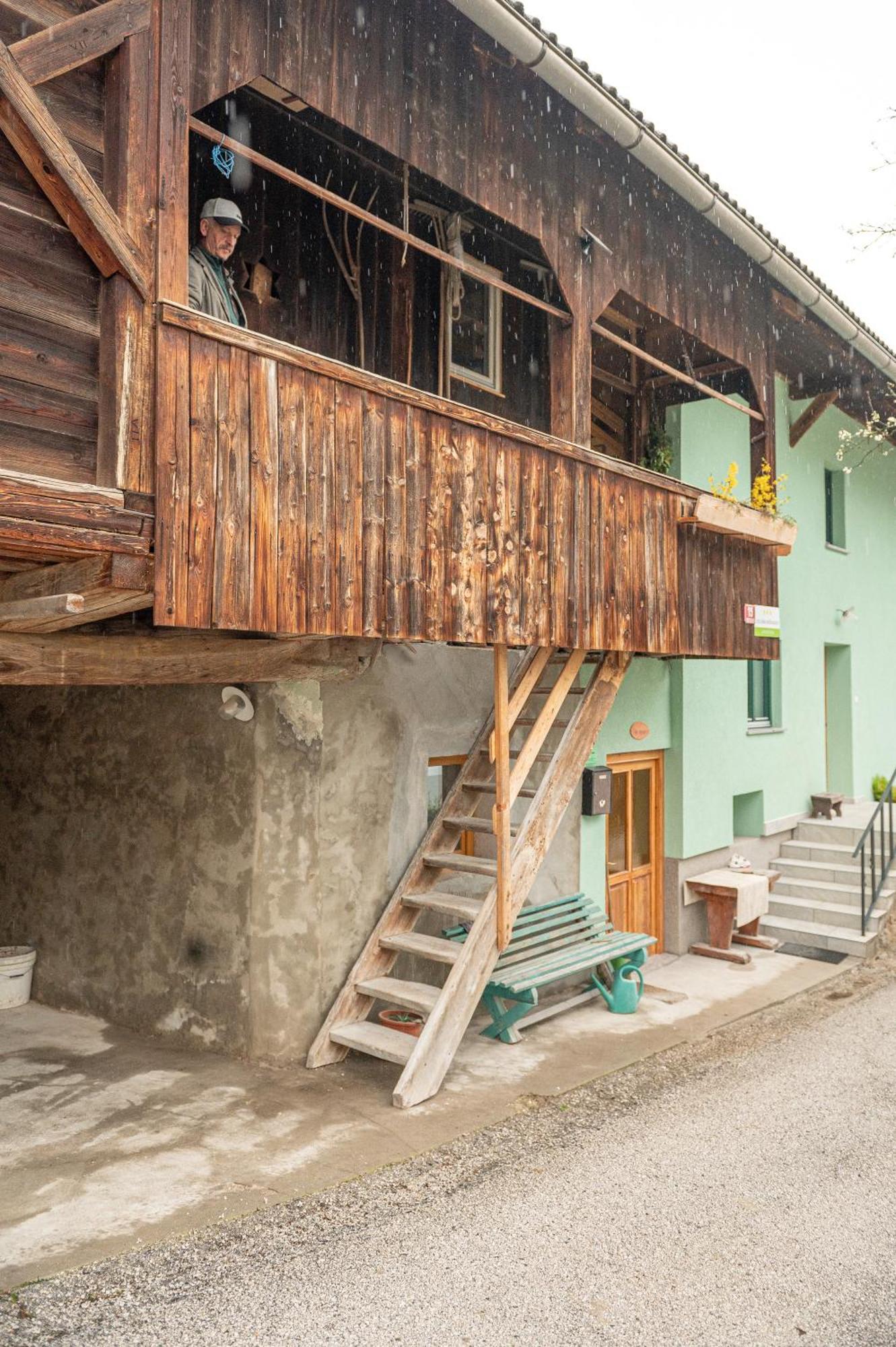 Zelena Hisa Pri Bjov Apartment Bohinjska Bela Exterior photo