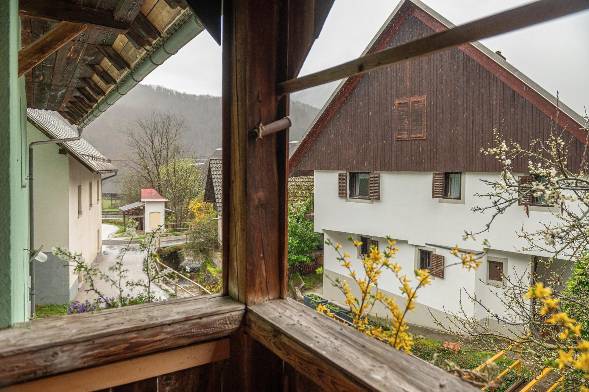 Zelena Hisa Pri Bjov Apartment Bohinjska Bela Exterior photo